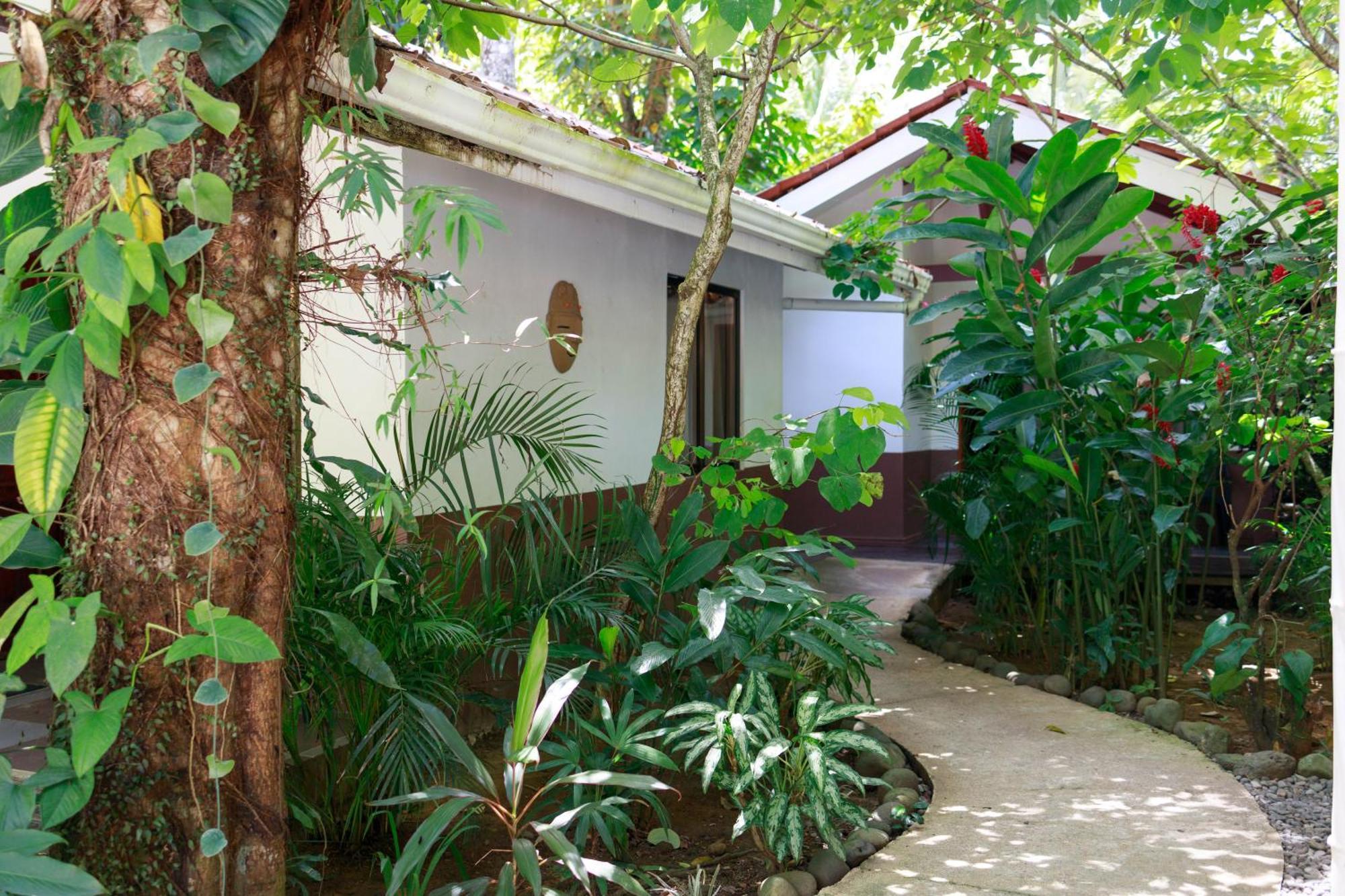 Hotel Bambutel Cocles Puerto Viejo de Talamanca Exterior foto