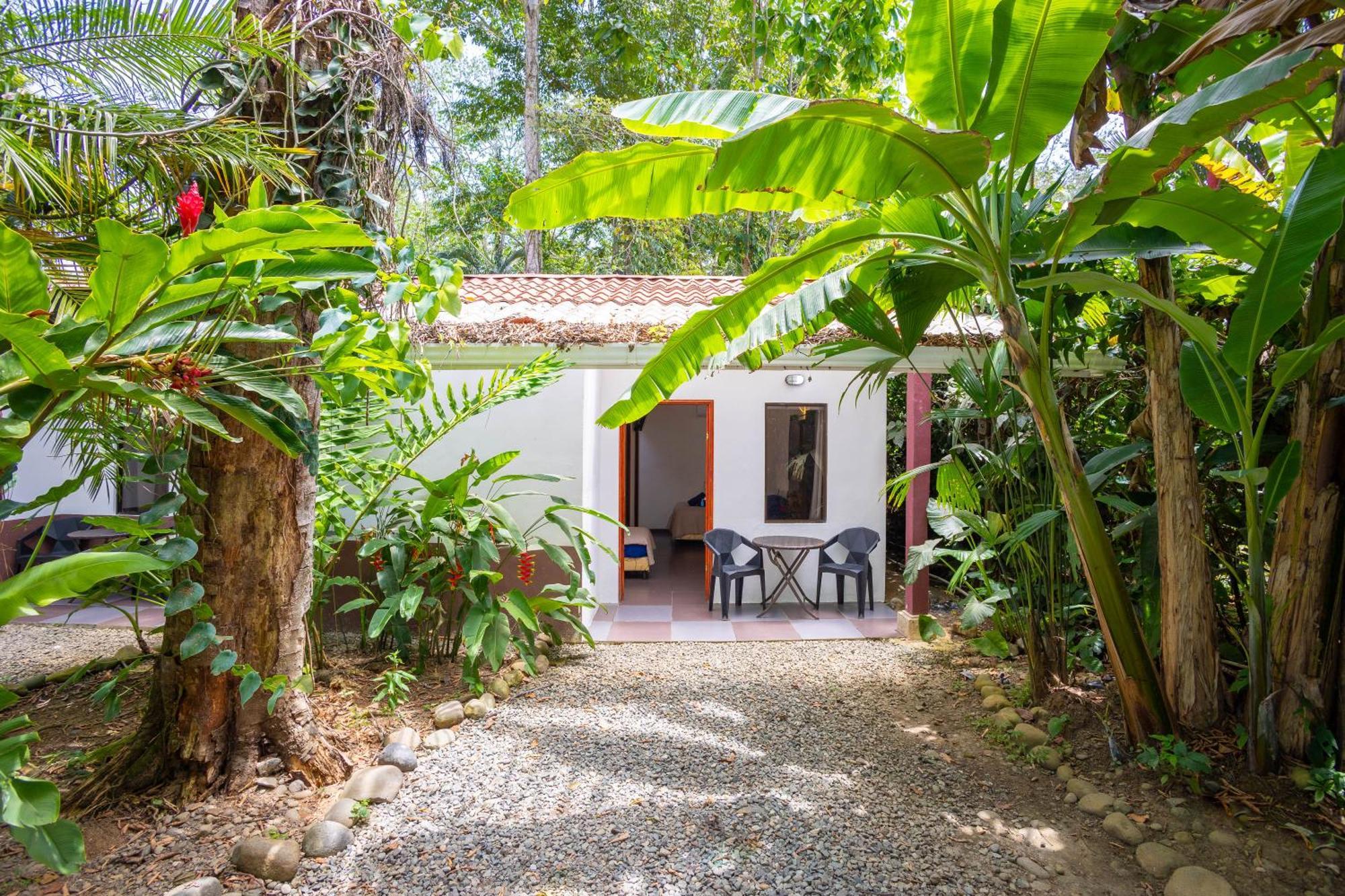 Hotel Bambutel Cocles Puerto Viejo de Talamanca Exterior foto